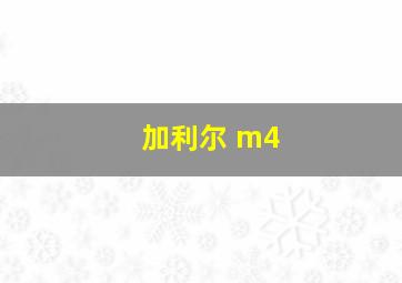 加利尔 m4